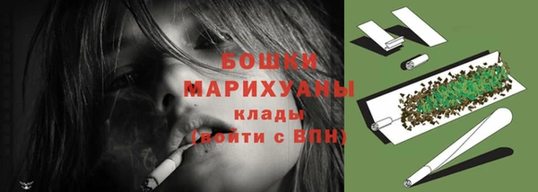 apvp Новозыбков