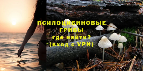 СК Нефтегорск