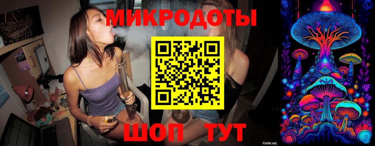 Галлюциногенные грибы Psilocybine cubensis  Вход с VPN  Псилоцибиновые грибы мицелий  Тверь 