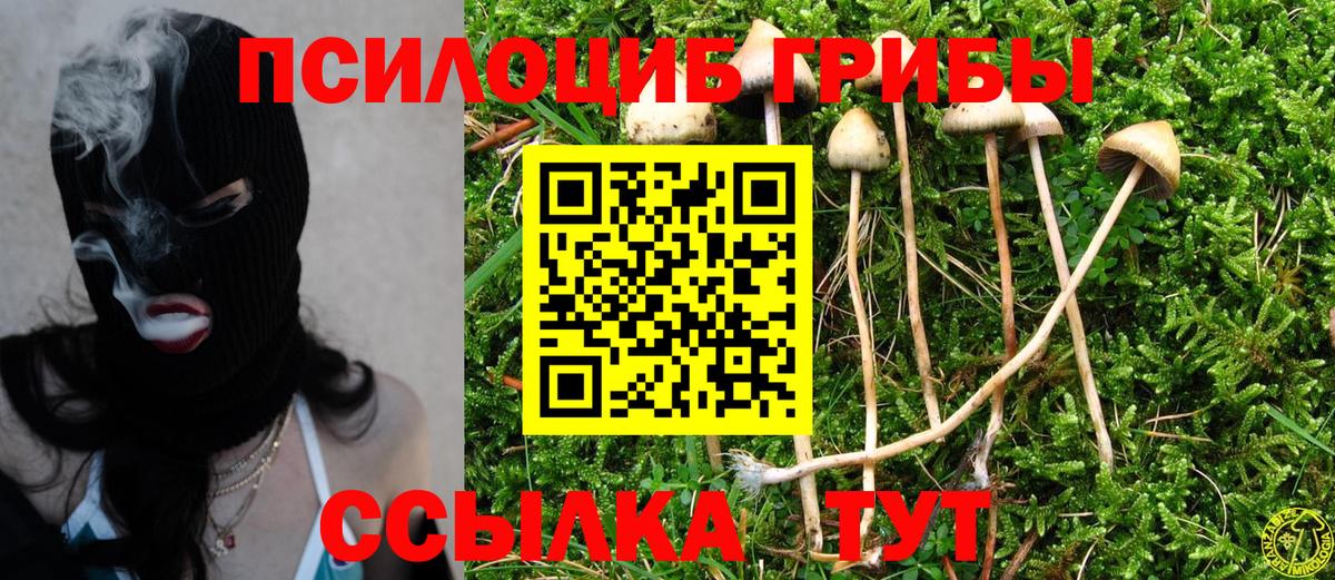 Псилоцибиновые грибы Magic Shrooms Тверь